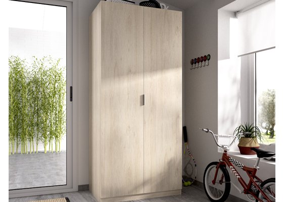 armario 2 puertas abatibles2 2